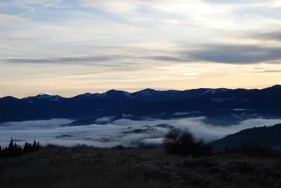 DSC_0707 (Large).JPG